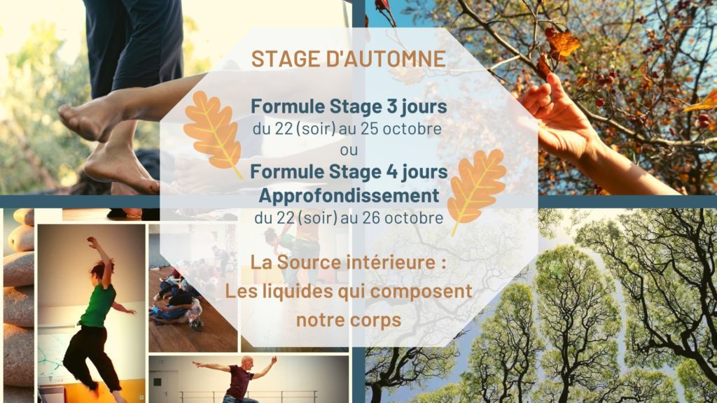Stage d'Automne