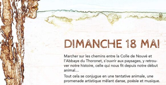 Tentatives Animales : Promenade Artistique