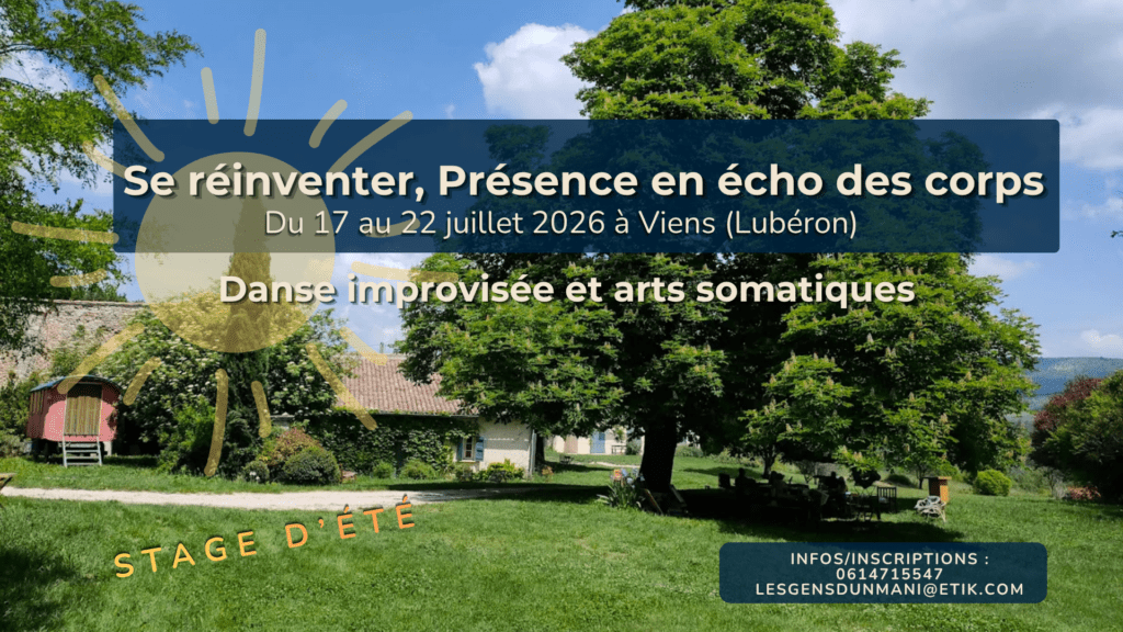 Stage d'été danse improvisation & arts somatiques